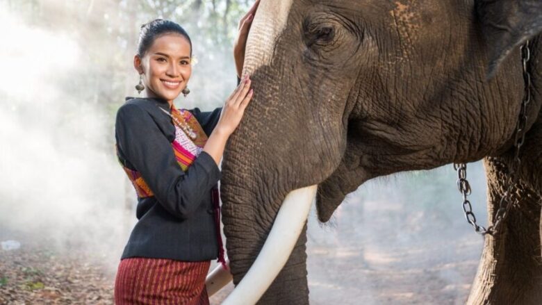 象と触れ合うタイ人女性
